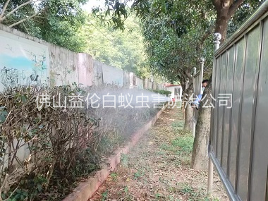 金本绿化带蚊蝇防治工程