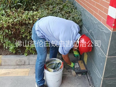 云东海安装灭鼠器工程